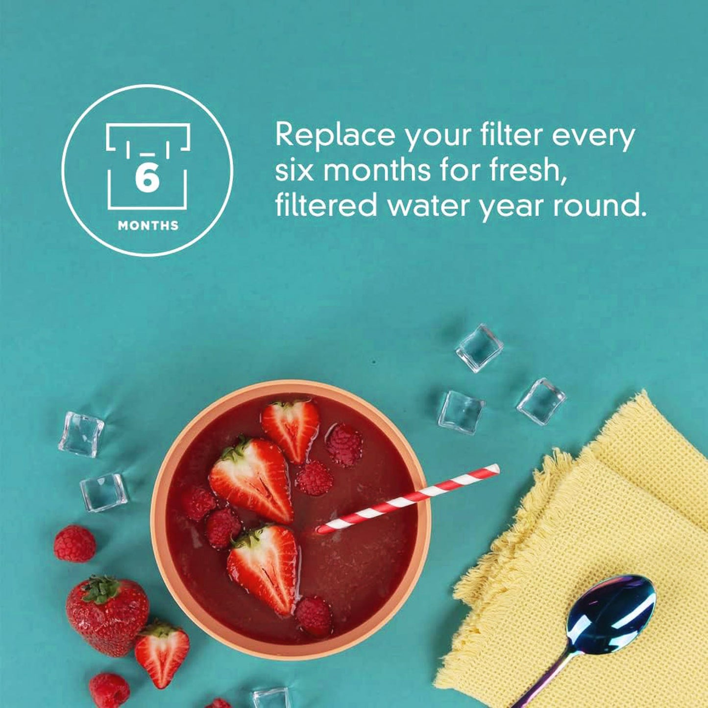 ICE2 F2WC9I1 Ice Maker Filter